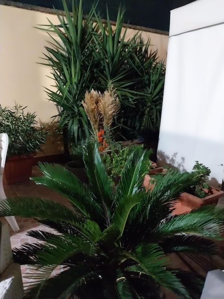 Il Giardino Di Marimar Apartment Екстериор снимка